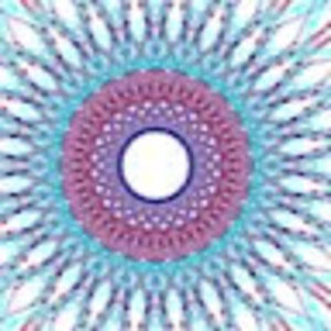 Meet your Posher, Tori